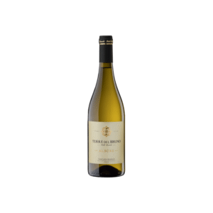 Albore Vermentino - Terre del Bruno